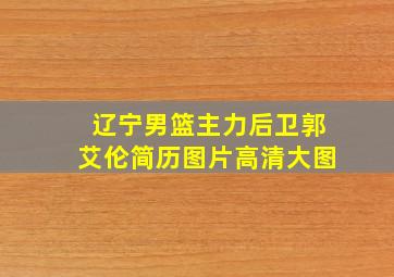 辽宁男篮主力后卫郭艾伦简历图片高清大图