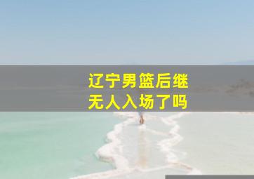 辽宁男篮后继无人入场了吗