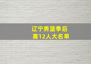 辽宁男篮季后赛12人大名单