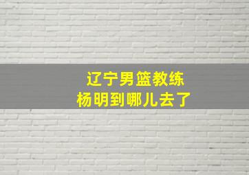 辽宁男篮教练杨明到哪儿去了