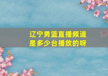 辽宁男篮直播频道是多少台播放的呀