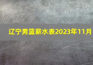 辽宁男篮薪水表2023年11月