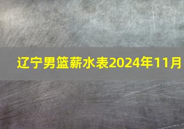 辽宁男篮薪水表2024年11月