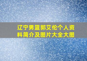 辽宁男篮郭艾伦个人资料简介及图片大全大图