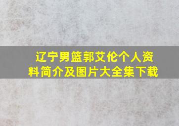 辽宁男篮郭艾伦个人资料简介及图片大全集下载