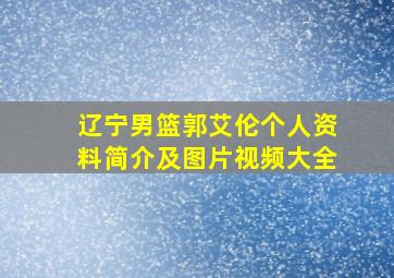 辽宁男篮郭艾伦个人资料简介及图片视频大全