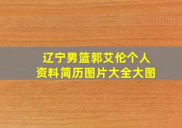 辽宁男篮郭艾伦个人资料简历图片大全大图