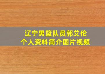 辽宁男篮队员郭艾伦个人资料简介图片视频