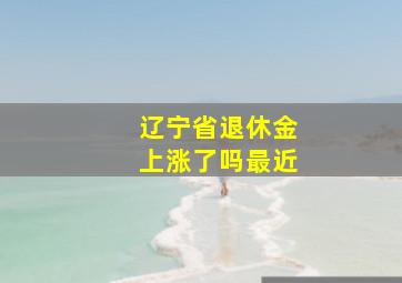 辽宁省退休金上涨了吗最近