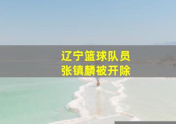 辽宁篮球队员张镇麟被开除