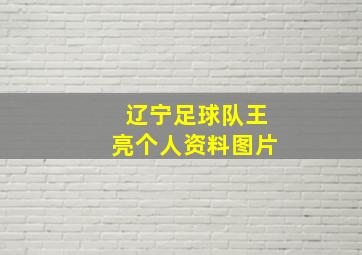 辽宁足球队王亮个人资料图片