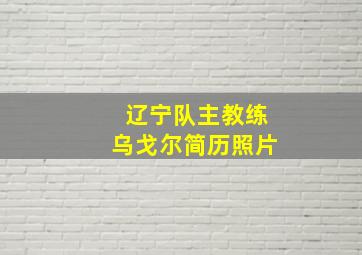 辽宁队主教练乌戈尔简历照片