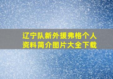 辽宁队新外援弗格个人资料简介图片大全下载