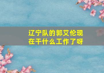 辽宁队的郭艾伦现在干什么工作了呀