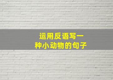 运用反语写一种小动物的句子