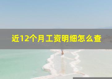 近12个月工资明细怎么查