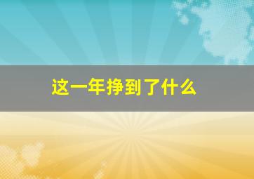 这一年挣到了什么