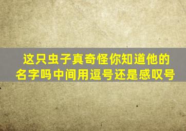 这只虫子真奇怪你知道他的名字吗中间用逗号还是感叹号