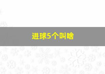 进球5个叫啥