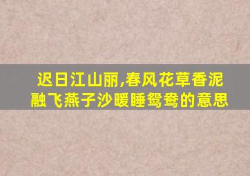 迟日江山丽,春风花草香泥融飞燕子沙暖睡鸳鸯的意思