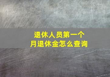 退休人员第一个月退休金怎么查询