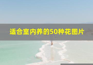 适合室内养的50种花图片