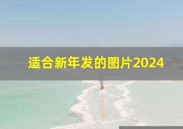 适合新年发的图片2024