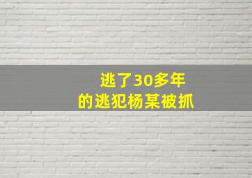 逃了30多年的逃犯杨某被抓