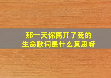 那一天你离开了我的生命歌词是什么意思呀