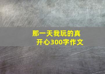 那一天我玩的真开心300字作文