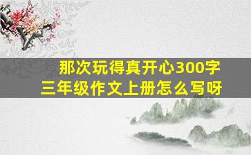 那次玩得真开心300字三年级作文上册怎么写呀