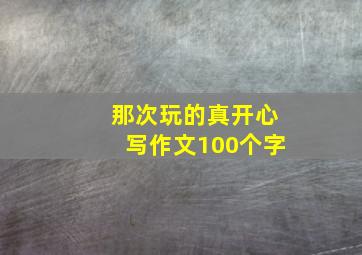 那次玩的真开心写作文100个字