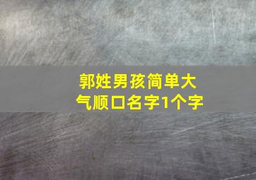 郭姓男孩简单大气顺口名字1个字