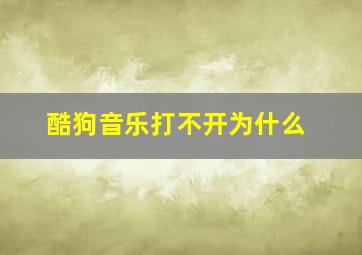 酷狗音乐打不开为什么