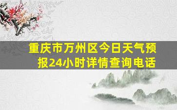 重庆市万州区今日天气预报24小时详情查询电话