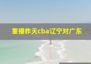 重播昨天cba辽宁对广东