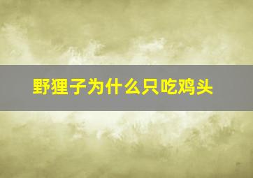 野狸子为什么只吃鸡头