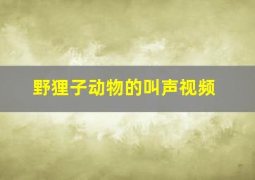 野狸子动物的叫声视频