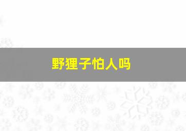 野狸子怕人吗