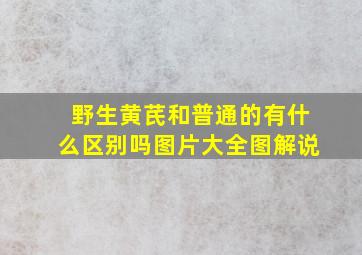 野生黄芪和普通的有什么区别吗图片大全图解说