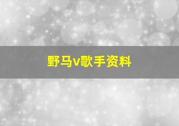 野马v歌手资料