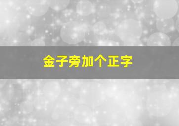 金子旁加个正字