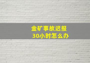 金矿事故迟报30小时怎么办