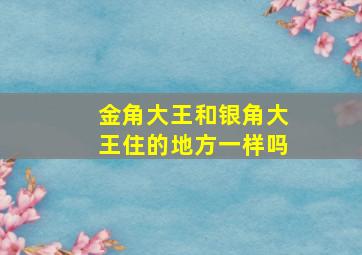 金角大王和银角大王住的地方一样吗