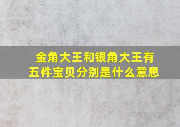 金角大王和银角大王有五件宝贝分别是什么意思