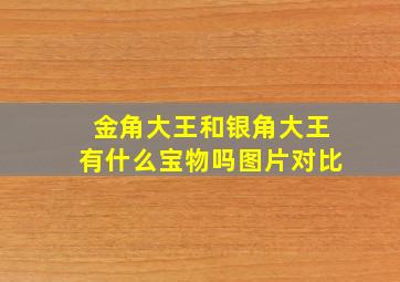 金角大王和银角大王有什么宝物吗图片对比