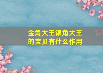 金角大王银角大王的宝贝有什么作用