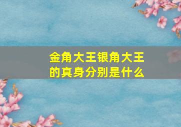 金角大王银角大王的真身分别是什么