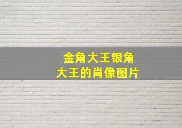 金角大王银角大王的肖像图片