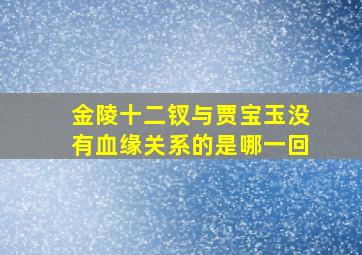 金陵十二钗与贾宝玉没有血缘关系的是哪一回